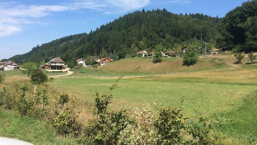 Another road trip with some breathtaking scenery.