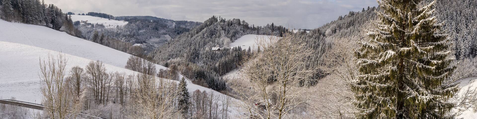Der Berg Belchen im Schwarzwald
