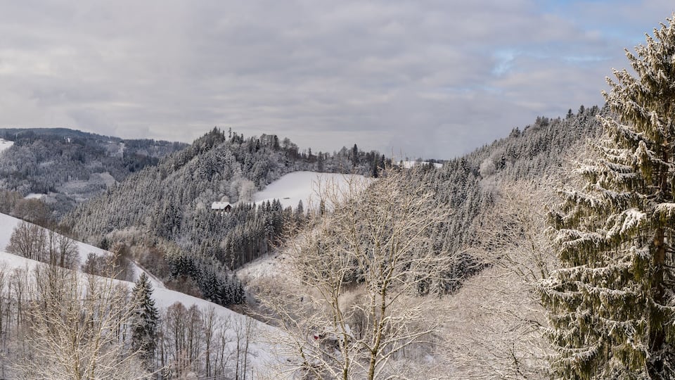 A snow-covered mountainous landscape with dense forests and a railway track.