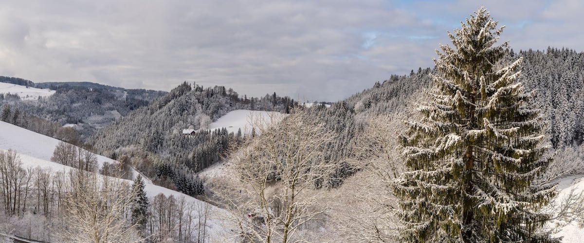 A snow-covered mountainous landscape with dense forests and a railway track.