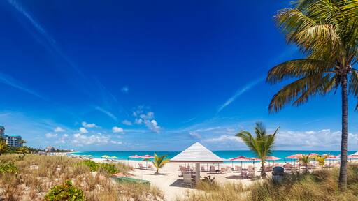 ํจ๋ฟ ์ผ์ด