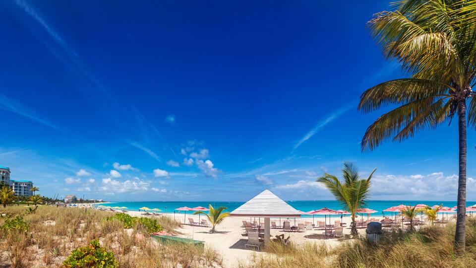 A beach with palm trees, beach umbrellas, and a clear blue sky.