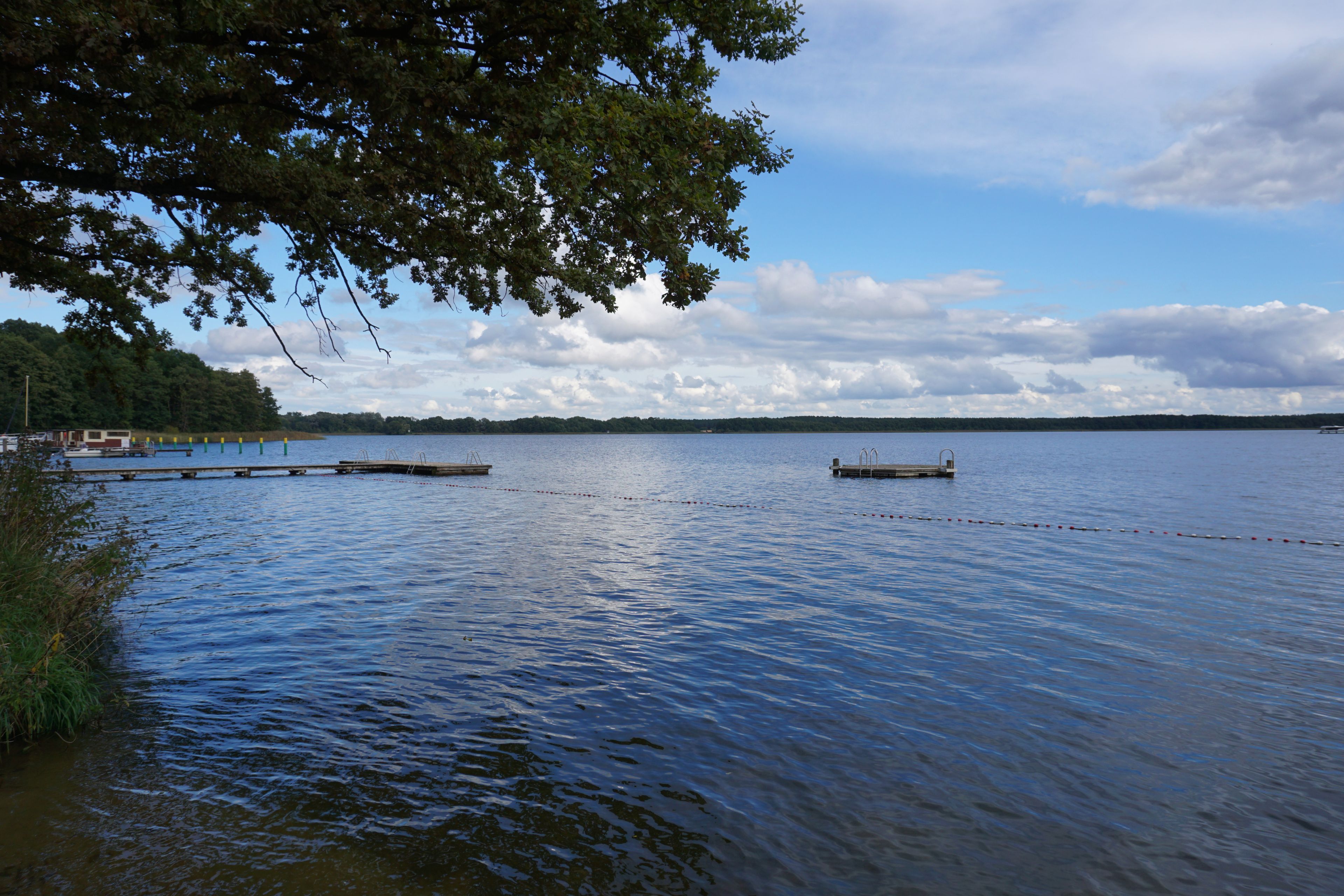 Ein ruhiger See mit Stegen und einem Boot, umgeben von Bäumen und einem bewölkten Himmel.