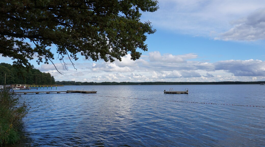 Ein ruhiger See mit Stegen und einem Boot, umgeben von Bäumen und einem bewölkten Himmel.