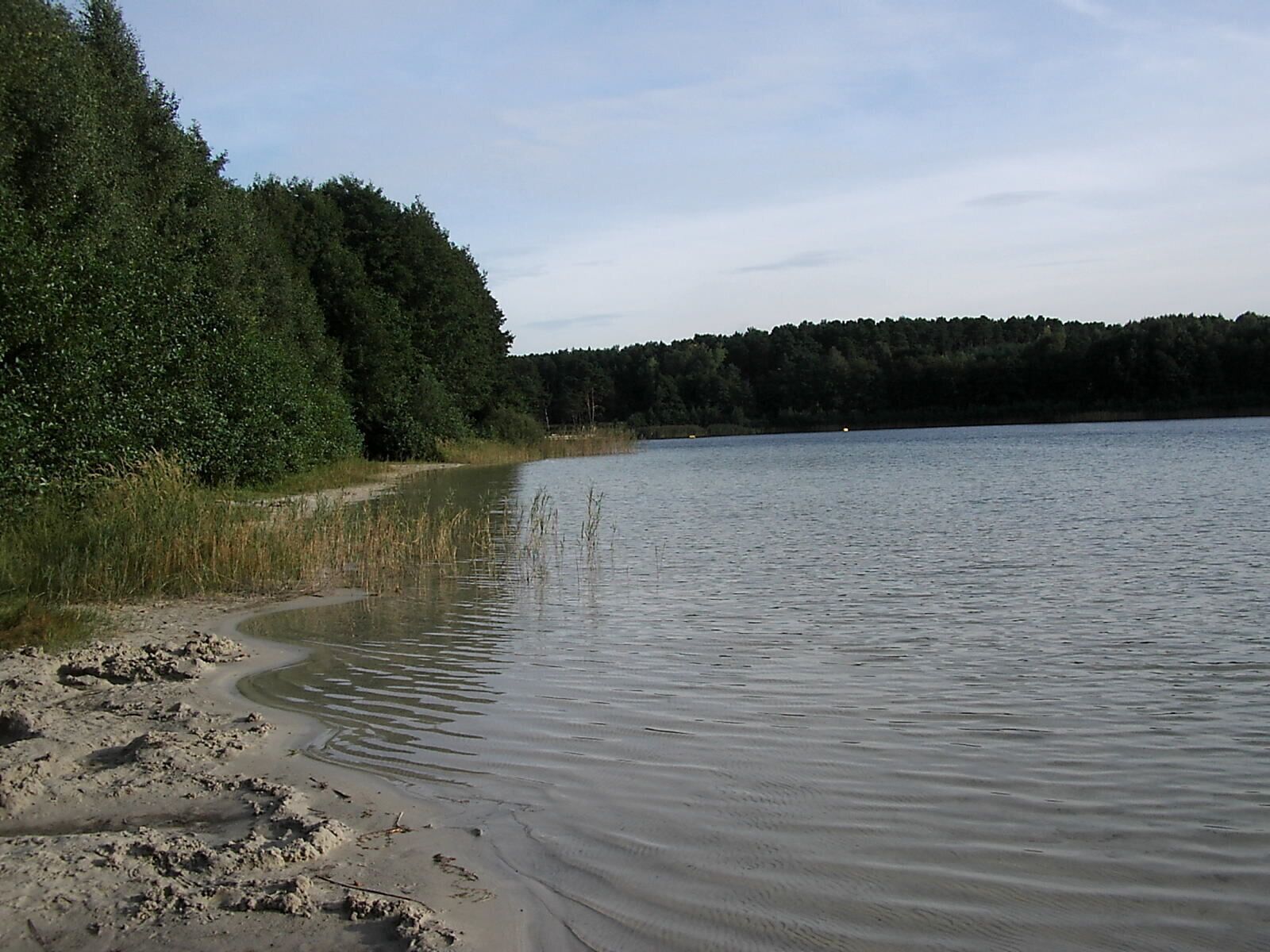 "Grosser Weisser See" near Wesenberg, view from the western shore.
