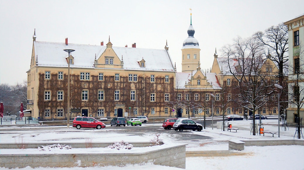 This media shows the protected monument of Saxony with the ID 08965298 KDSa/08965298(other).