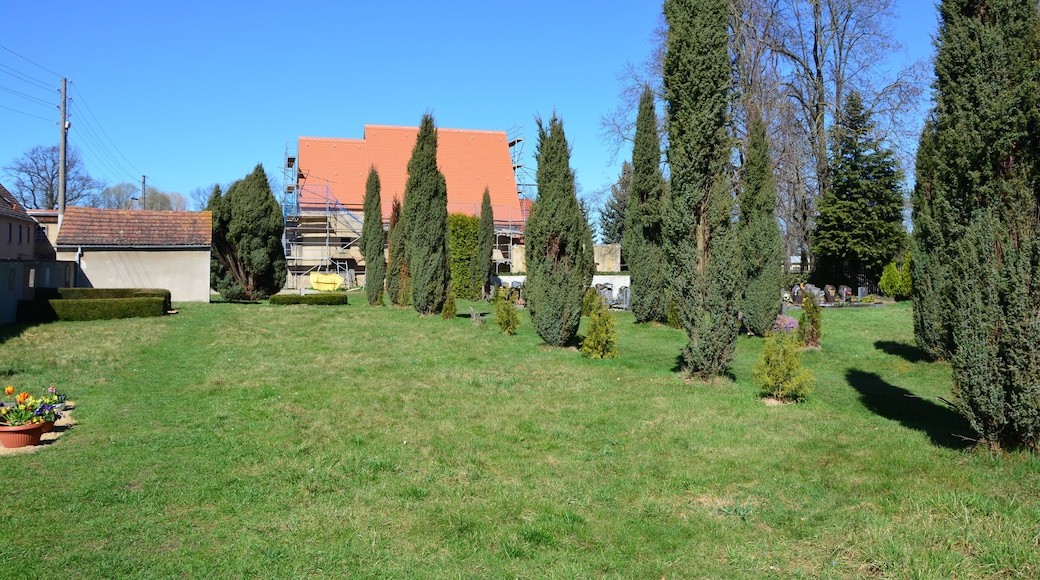 Kirche in Canitz (Liebschützberg):umfangreiche Dacharbeiten. Das Dach über den Kirchenschiff und dem Turmstumpf bildet einen geschlossenen Kirchenraum, ähnlich der vor 700 Jahren errichteten Canitzer Kirche. Zustand April 2018