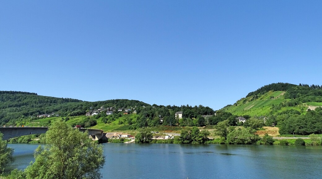 56841 Traben-Trarbach, Germany