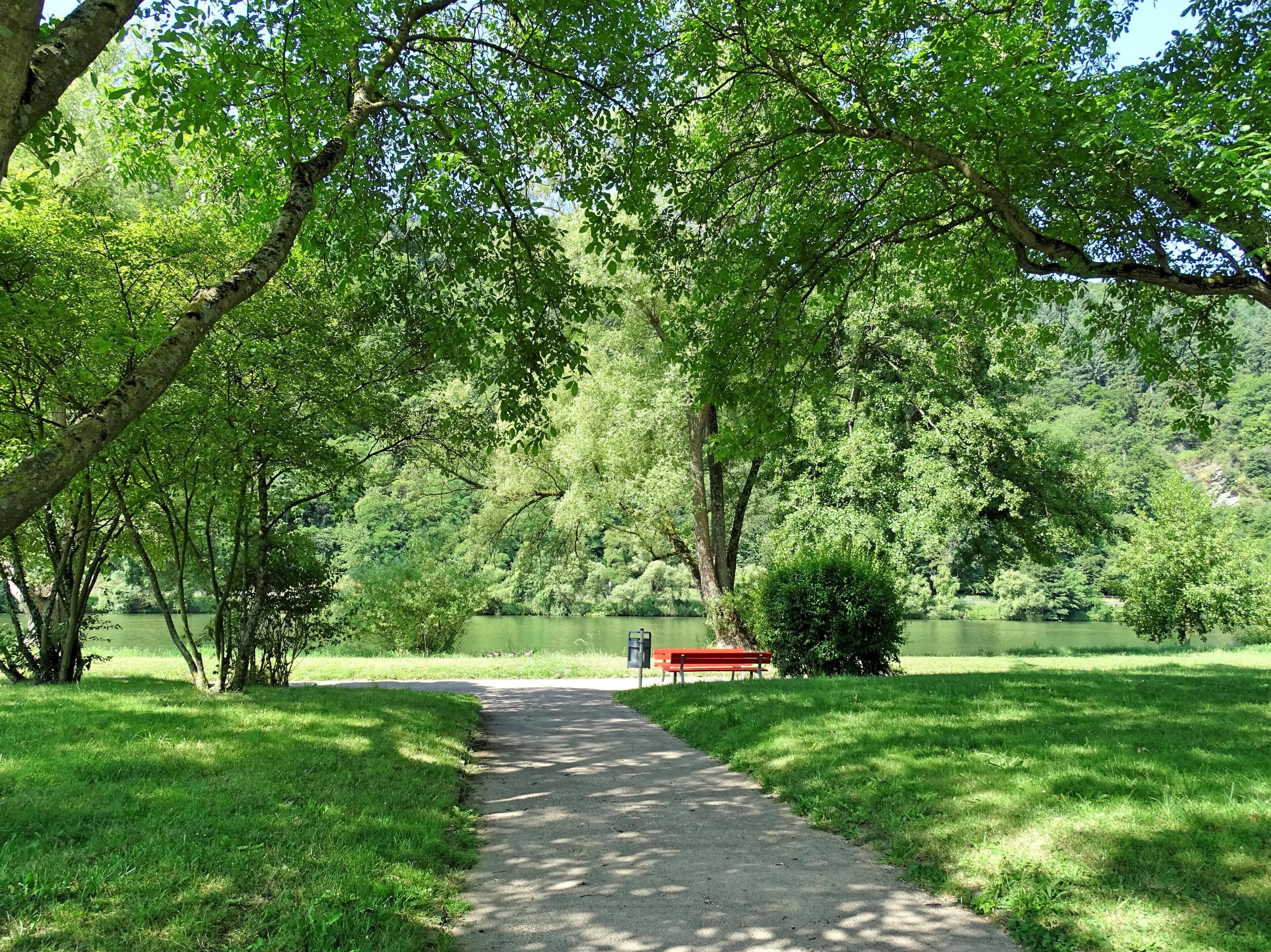 Un parque con un sendero pavimentado, césped verde, árboles y un lago.