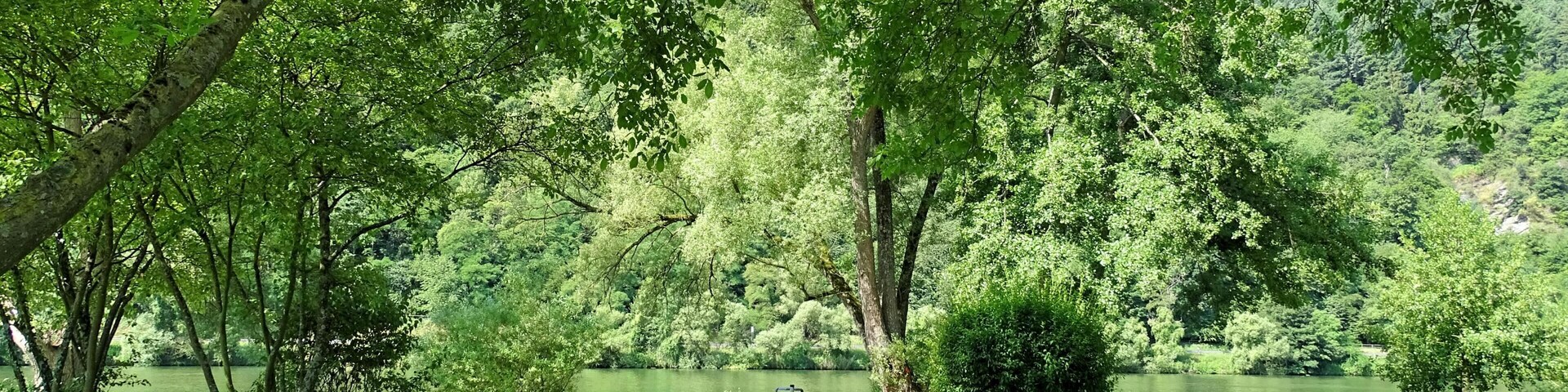 Un parque con un sendero pavimentado, césped verde, árboles y un lago.
