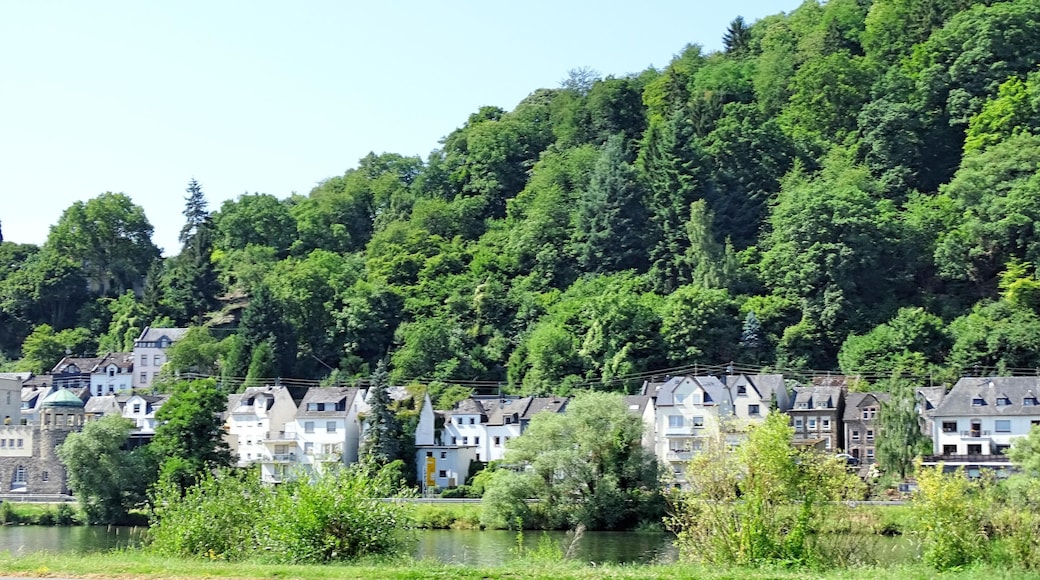 56841 Traben-Trarbach, Germany