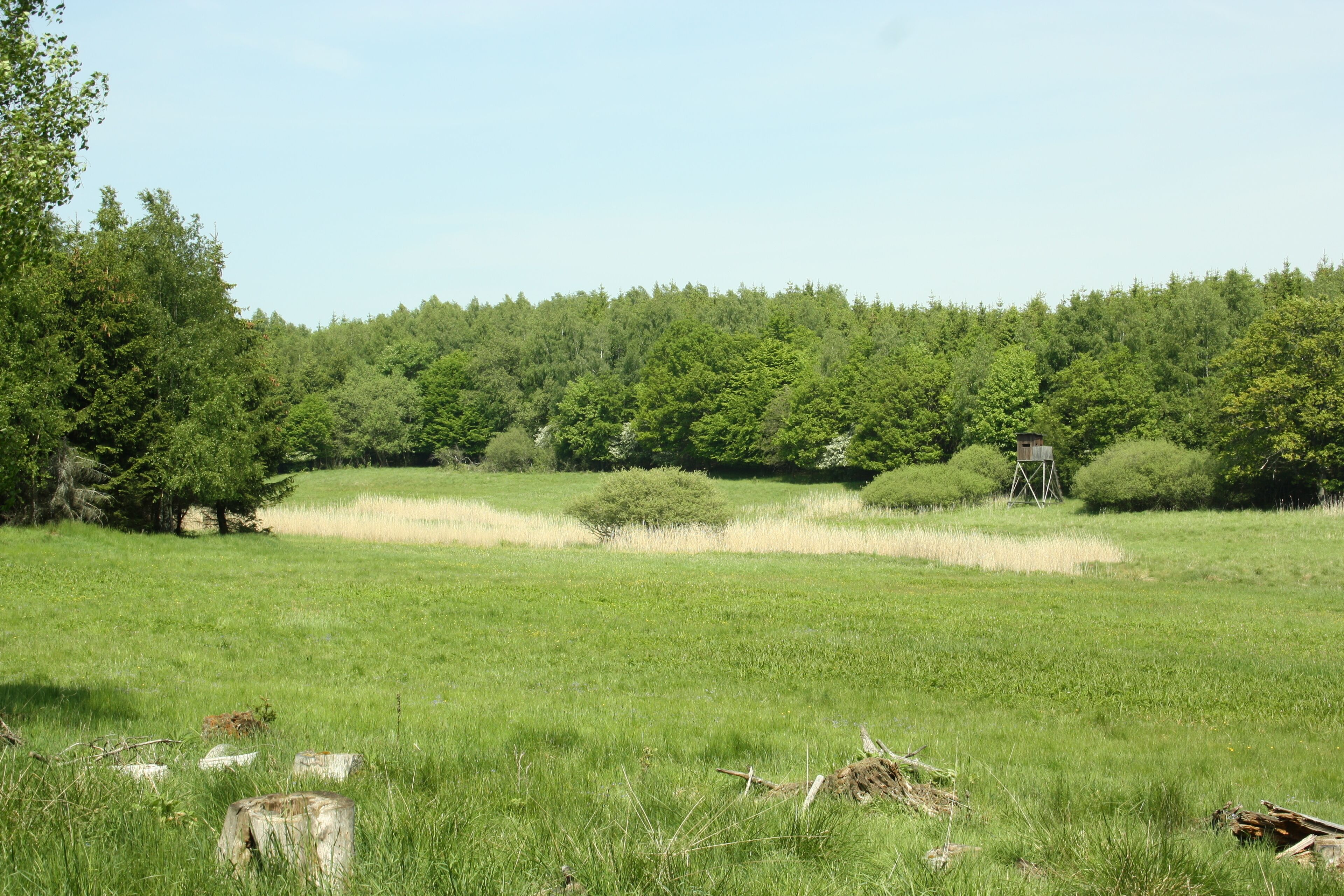 Wanderung hin und zurück nach Stolberg/Harz von Rodishain - Auf dem Hainfeld