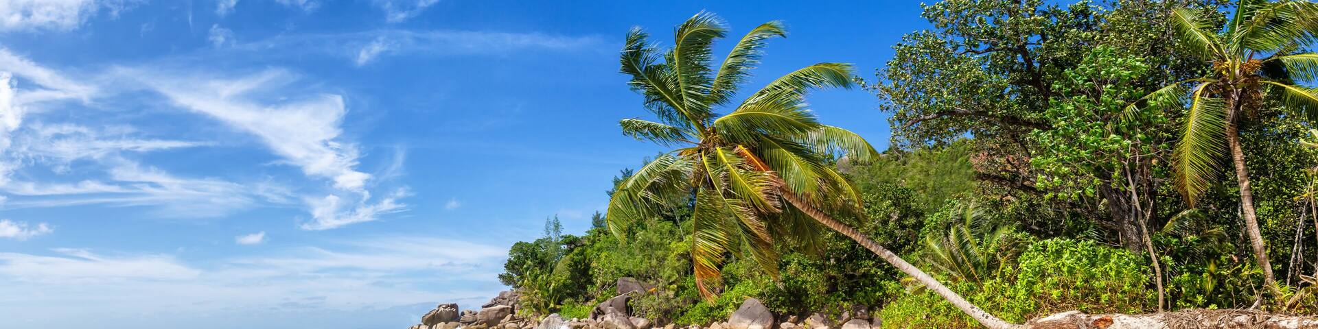 Seychelles Anse Georgette beach Praslin island palm panoramic view holidays vacation paradise sea