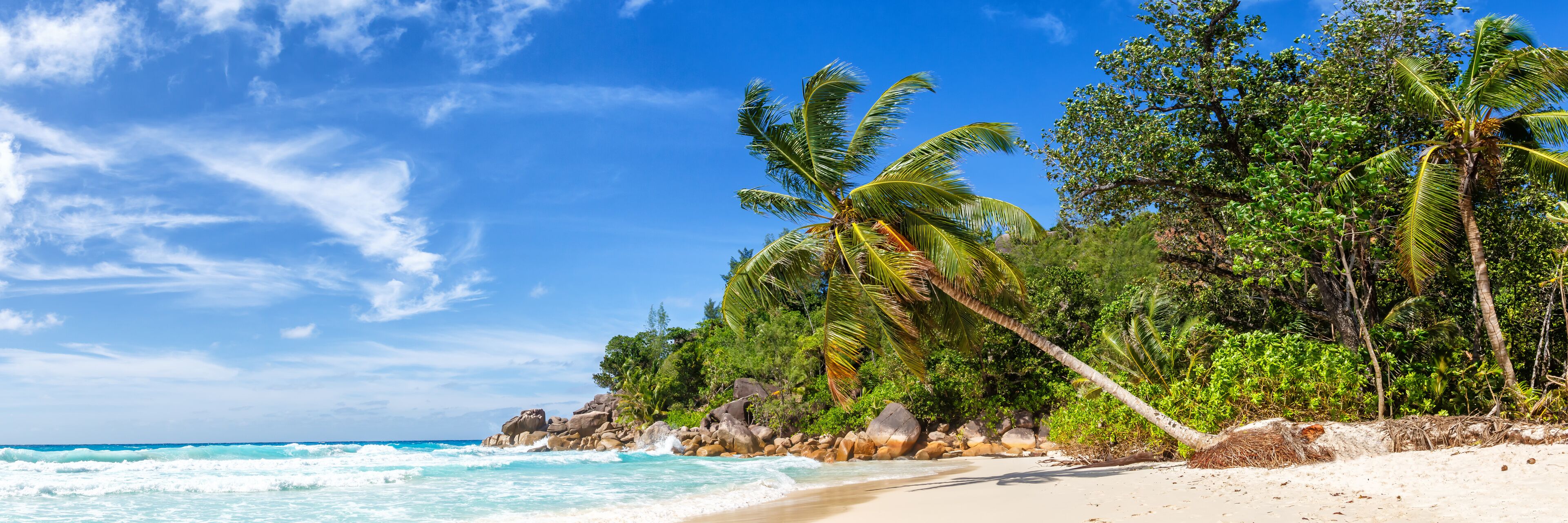 A beach with turquoise waves, palm trees, and rocky outcrops.