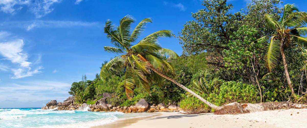 A beach with turquoise waves, palm trees, and rocky outcrops.