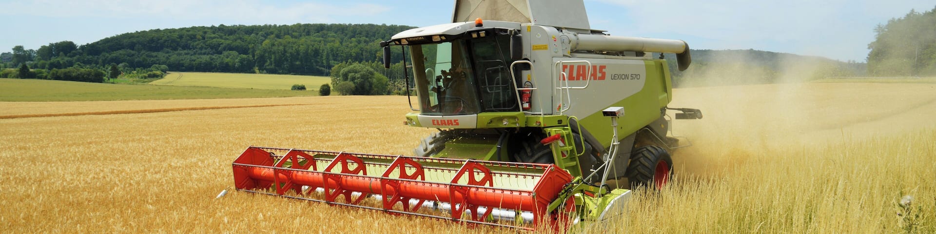 Ein MĂ€hdrescher Claas Lexion 570 der Agrarproduktion Hohenebra GmbH bei der Ernte.