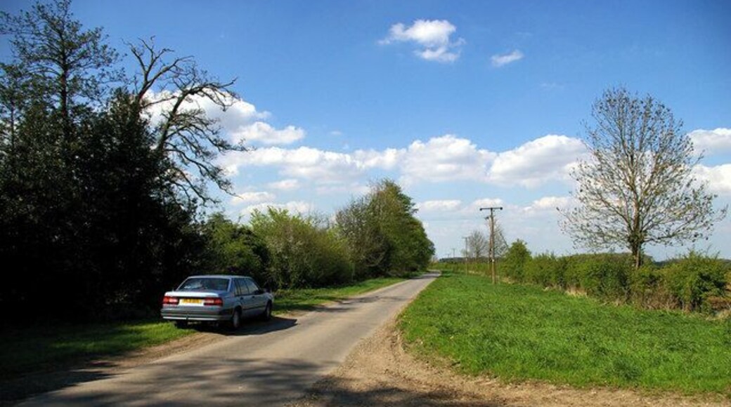Near Melton High Wood. Picture taken looking approx. North along the Melton Ross to Burnham road.