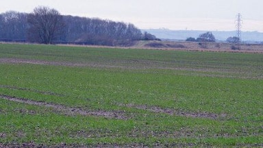 Reservoir, Searby Moor. The reservoir is behind the grassy banks between the trees.
