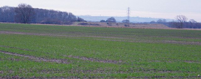 A vast open field with rows of crops, a power line tower, and leafless trees in the background.