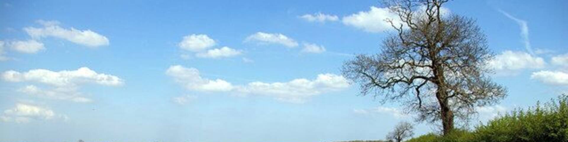Looking towards Camp Covert. Camp Covert is the small wood on the horizon at the end of the track.