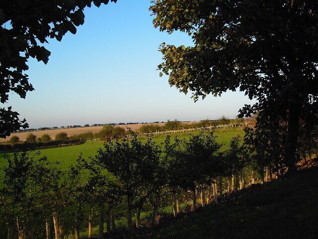 View from Searby Top Farm.