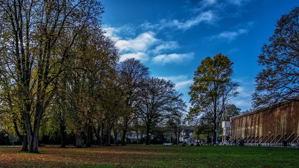 A park with trees, a clear sky, and a building in the background.