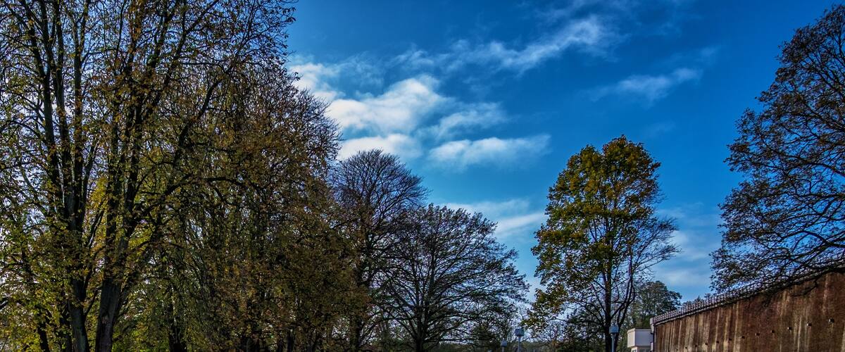 A park with trees, a clear sky, and a building in the background.