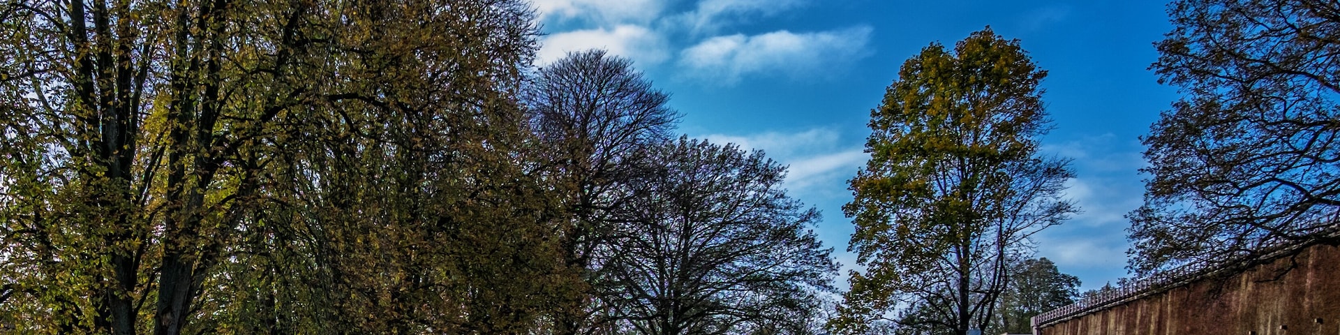A park with trees, a clear sky, and a building in the background.