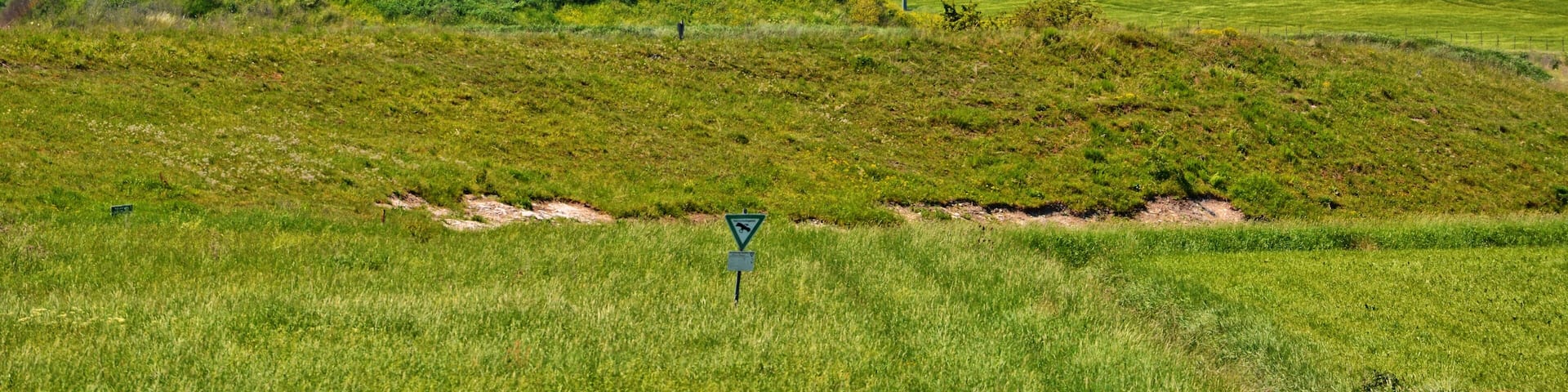 Külsheim gypsum hill, view from the east