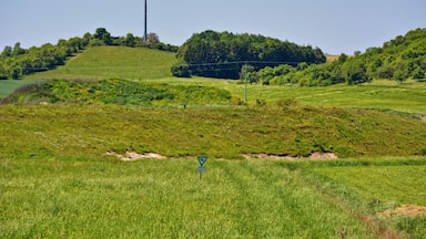 Külsheim gypsum hill, view from the east