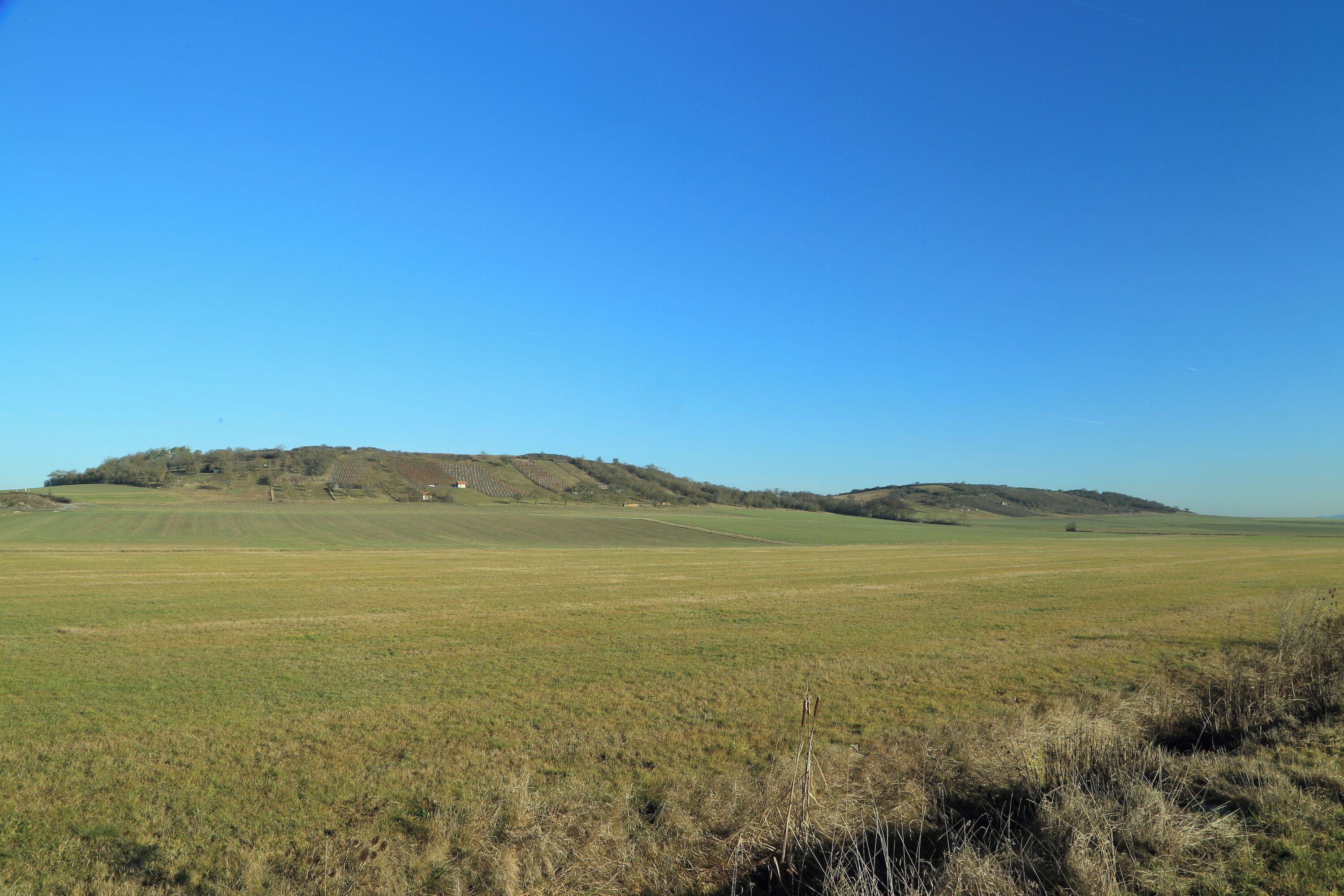 Zeugenberglandschaft ENE von Erkenbrechtshofen Geotop-Nummer: 575R010