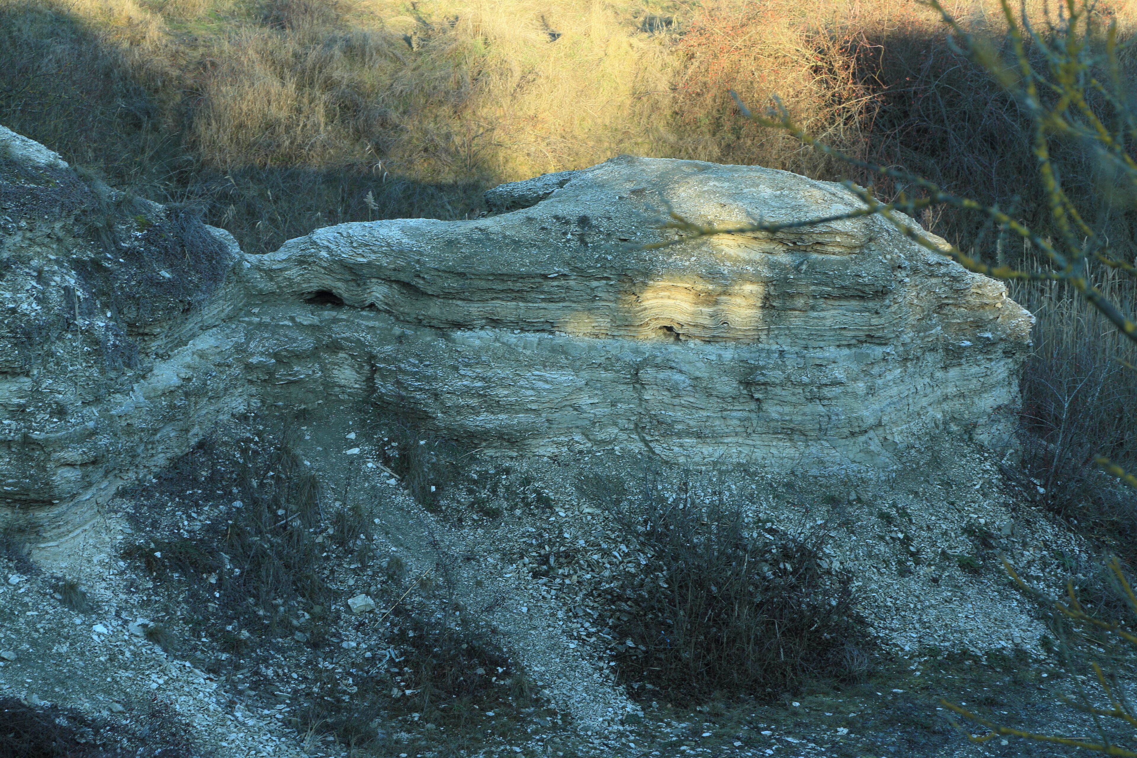 Ehem. Gipsbruch in Bad Windsheim Ost Geotop-Nummer: 575A026