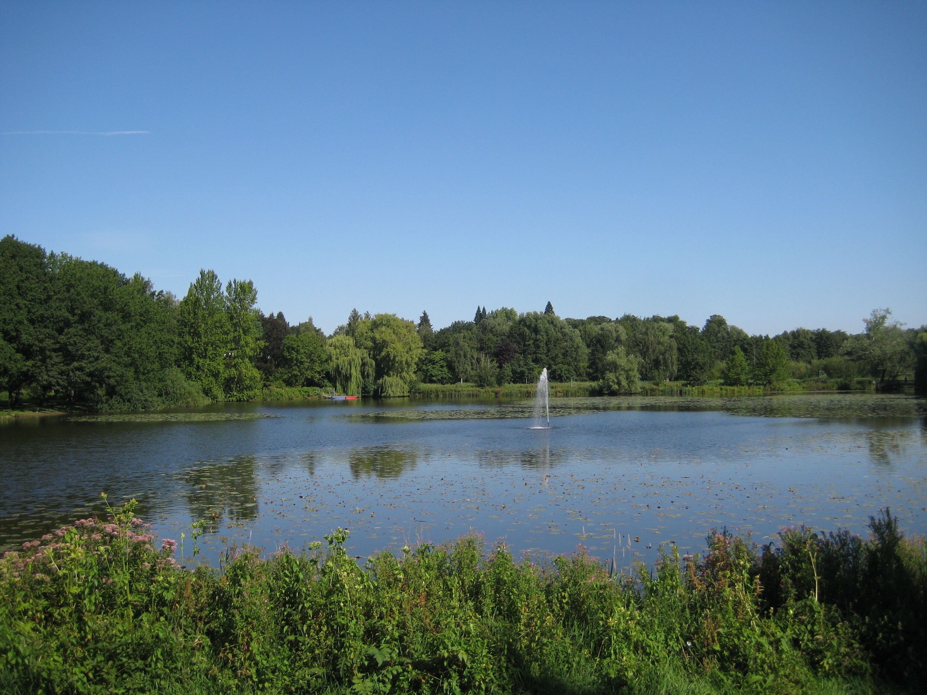 A calm lake surrounded by dense greenery and trees.