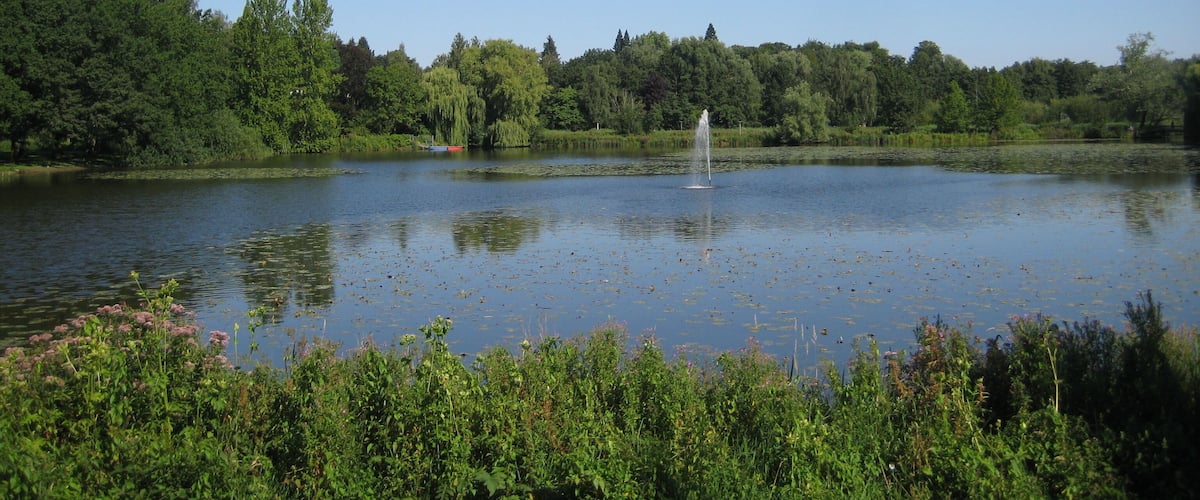 A calm lake surrounded by dense greenery and trees.