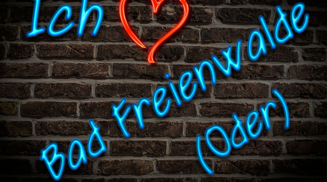 巴特弗赖恩瓦尔德