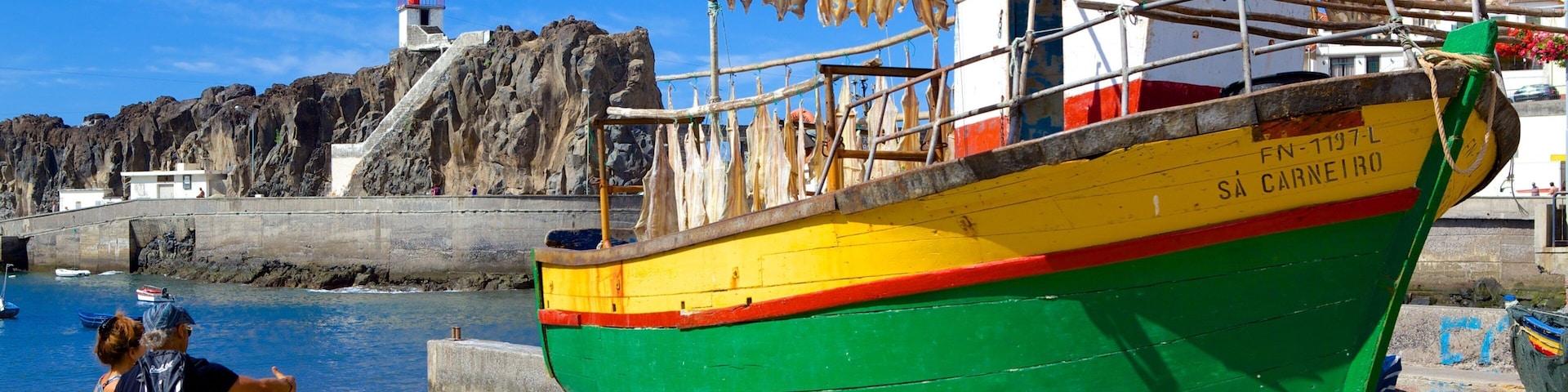 Camara de Lobos which includes a bay or harbor and a beach