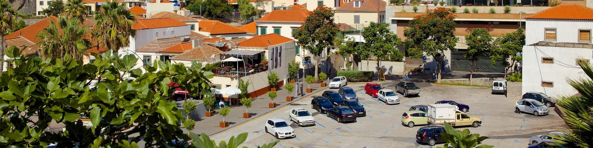 Camara de Lobos which includes a city