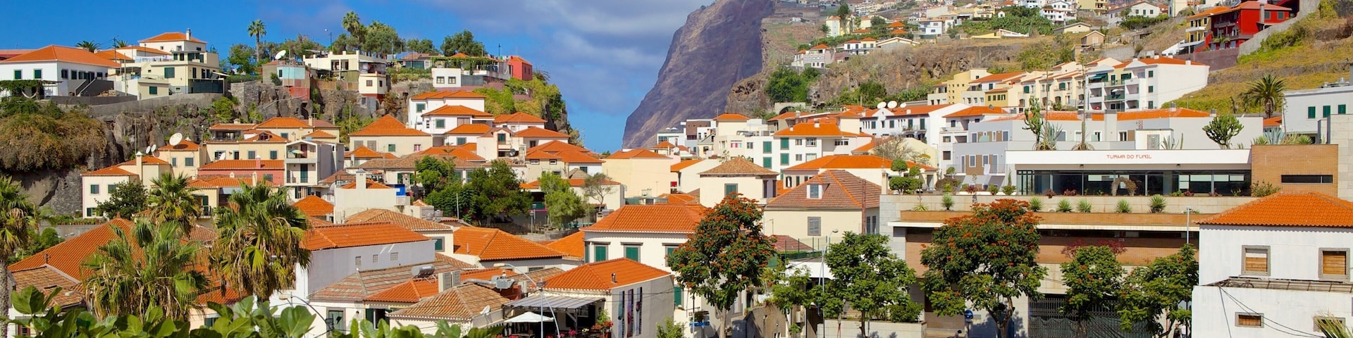 A coastal town with terraced houses, a parking lot, and a mountain in the background.