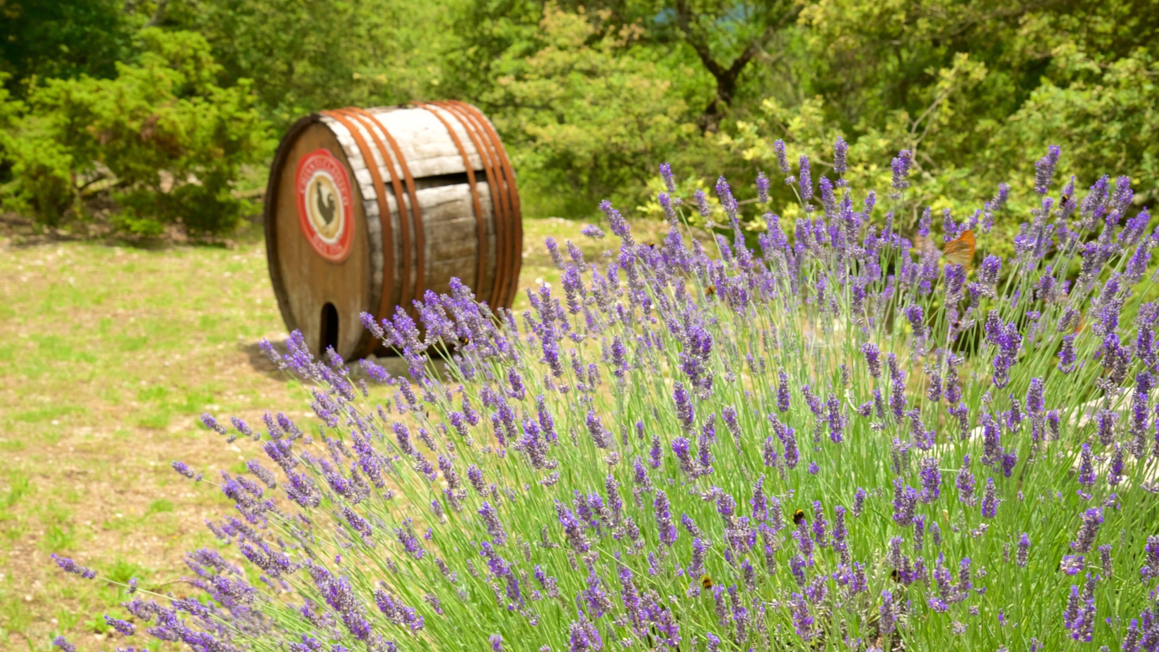 Región de Chianti que incluye flores