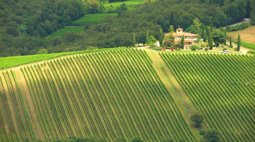 Chianti Region which includes farmland