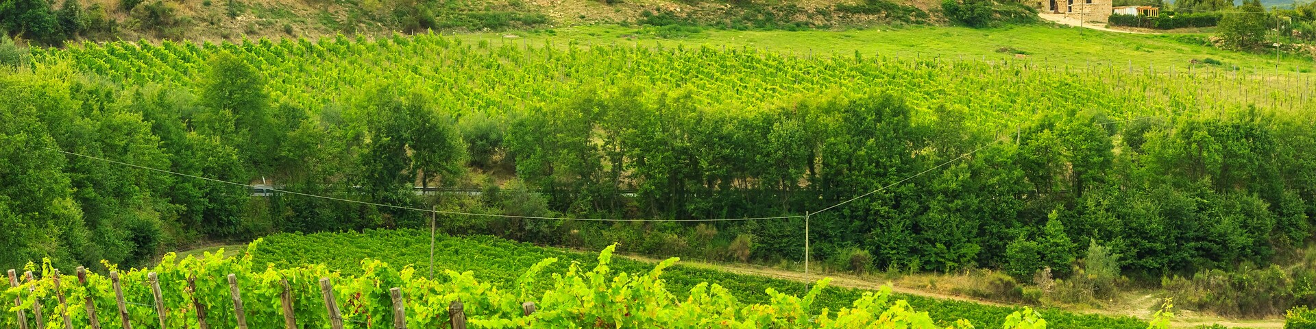 Typical Tuscany stone house with vineyard in the Chianti region and magical sunset,Tuscany,Italy,Europe; Shutterstock ID 230998399