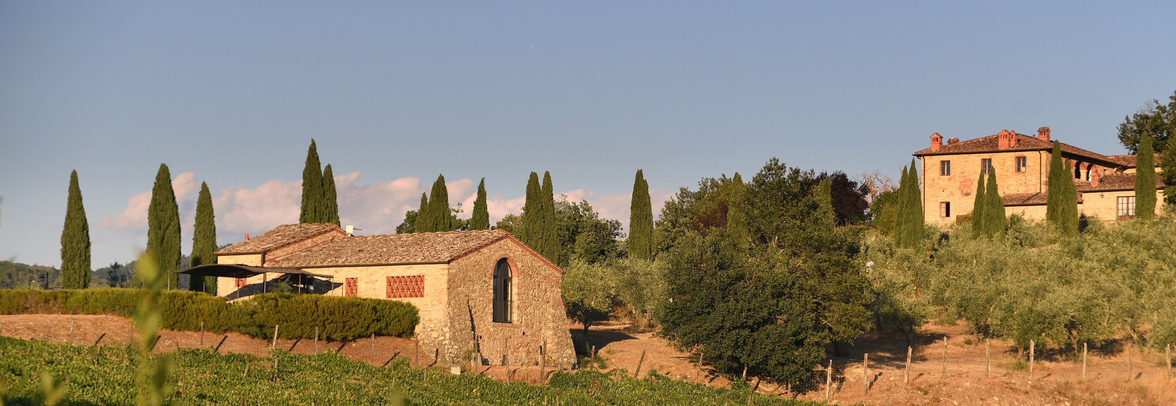 Steinhäuser in Landschaft mit Zypressen und blauem Himmel