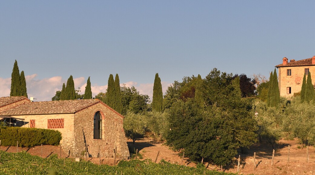 Steinhäuser in Landschaft mit Zypressen und blauem Himmel