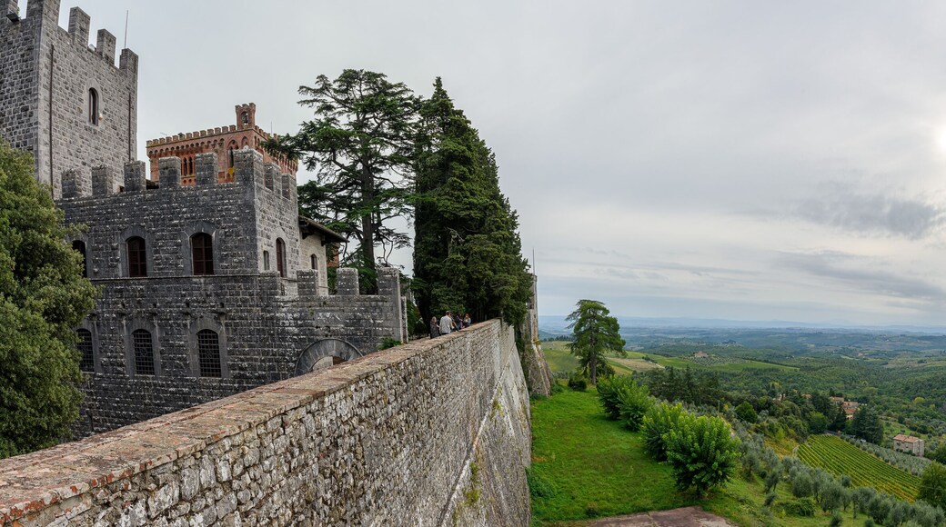View over the hills from the Brolio Castle