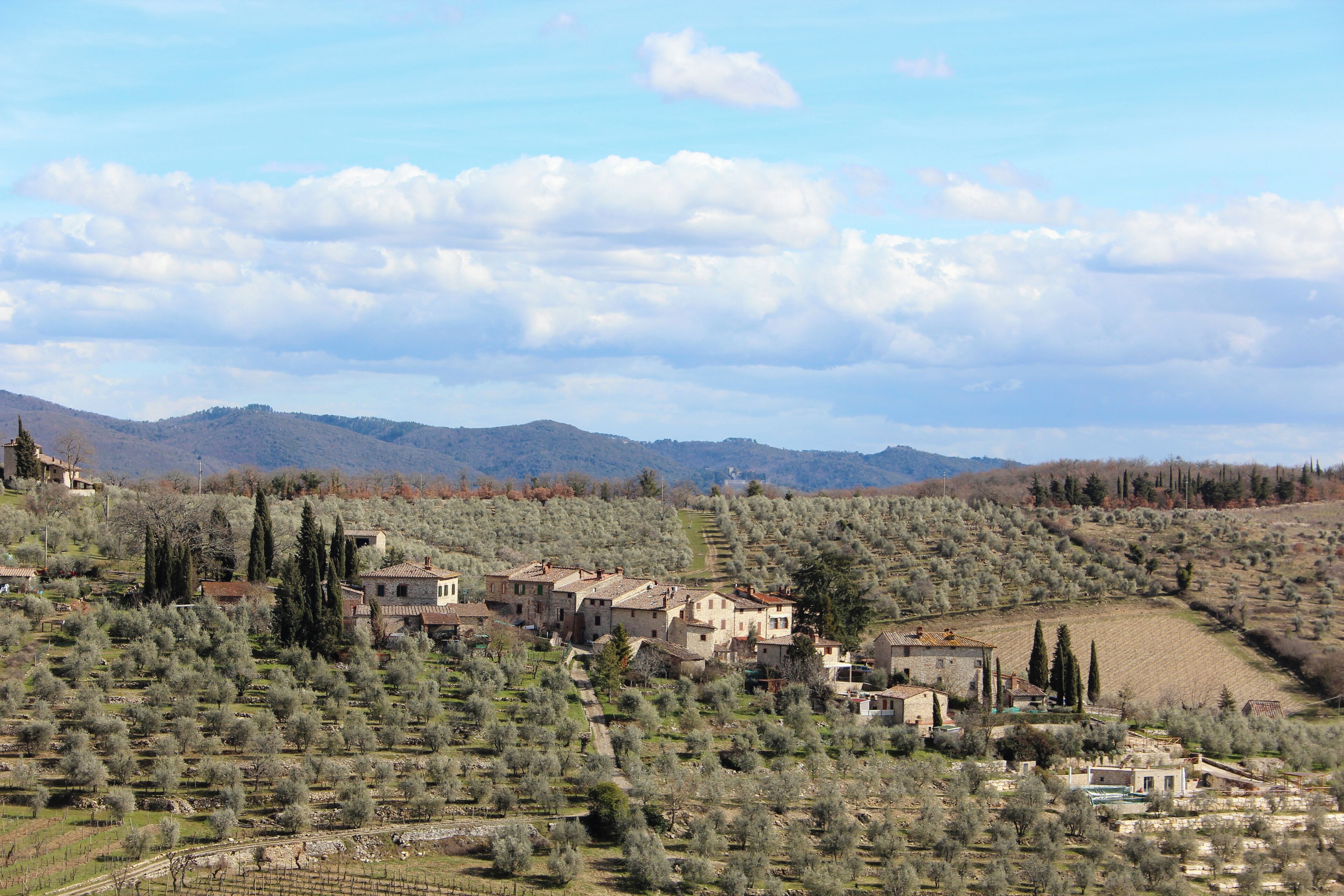 Panorama of Casanova di Ama, Ama, hamlet of Gaiole in Chianti, Province of Siena, Tuscany, Italy