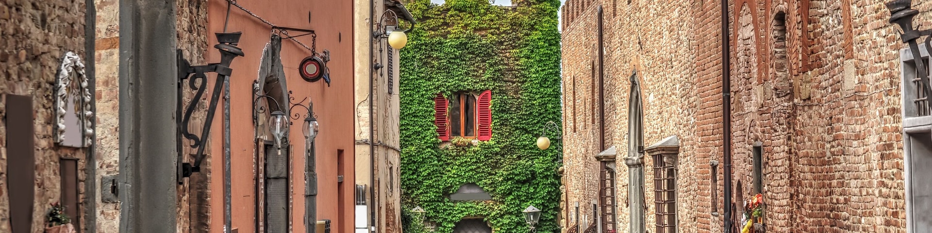 ivy leaves on an old wall in Certaldo; Shutterstock ID 362470085; Purchase Order: -