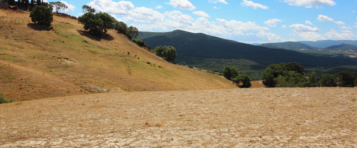 A dry, hilly landscape with scattered trees and distant mountains under a clear sky.