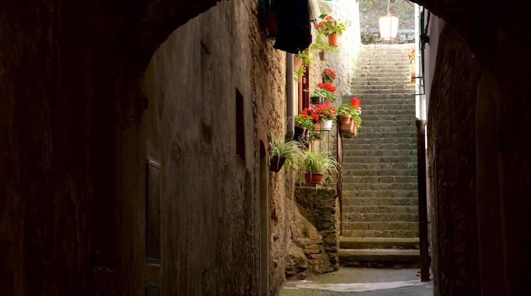 Volterra