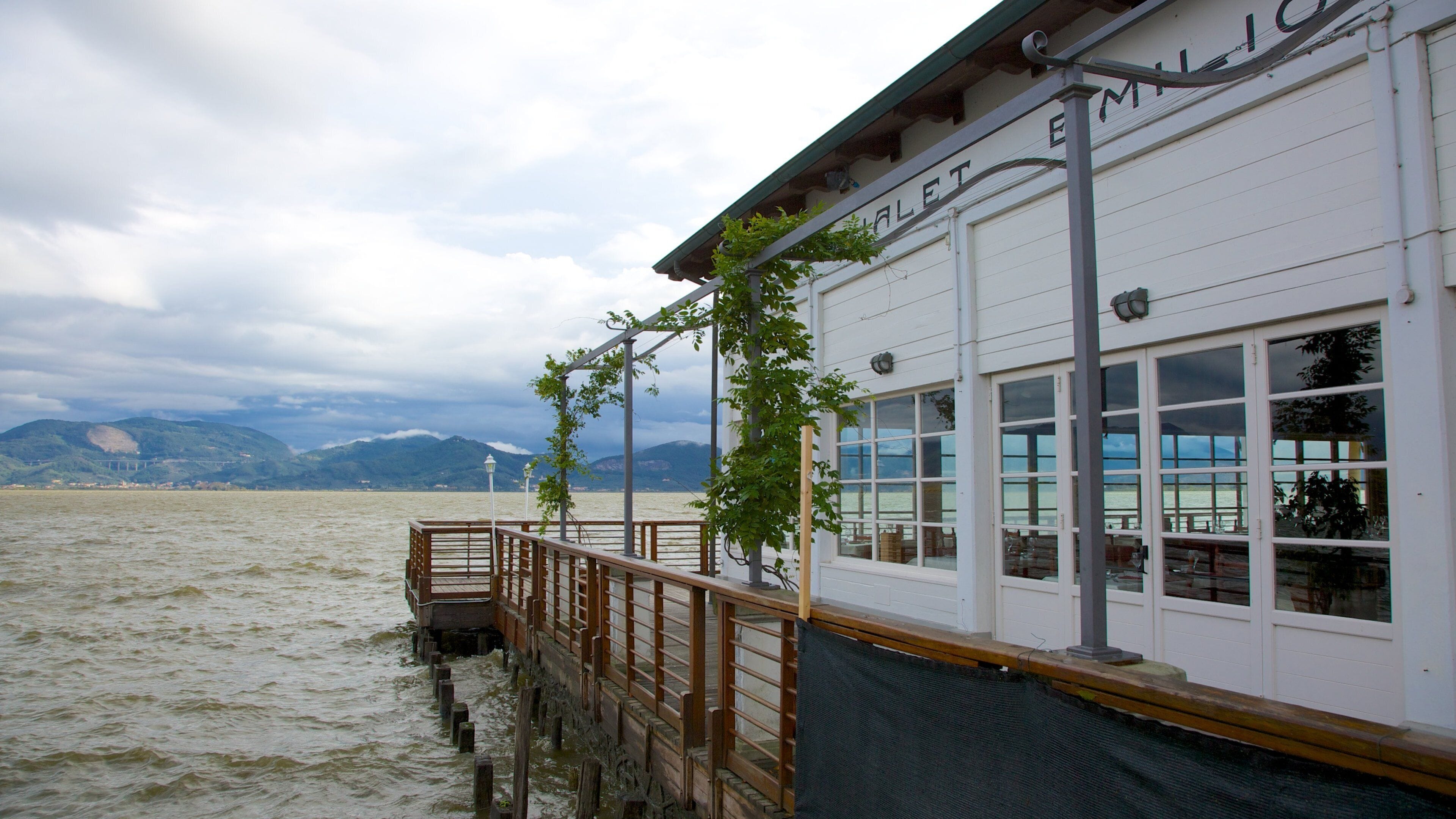 Massarosa showing a bay or harbor