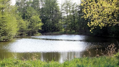 Naturschutzgebiet "Graureiherkolonie bei Harsewinkel"
